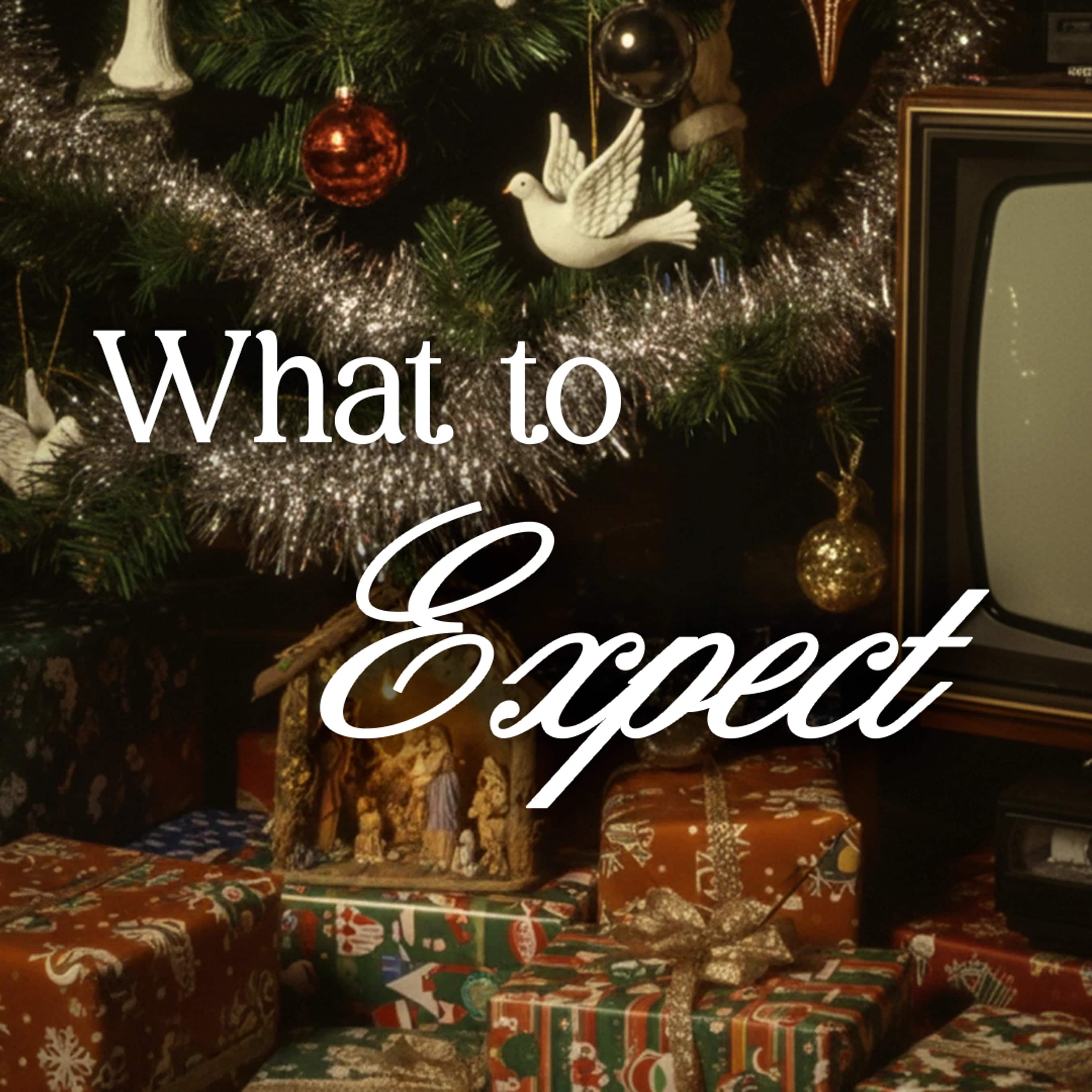 A retro photo of a decorated Christmas tree with presents, a nativity scene, and an old television. Text overlay reads, 'What to Expect'.